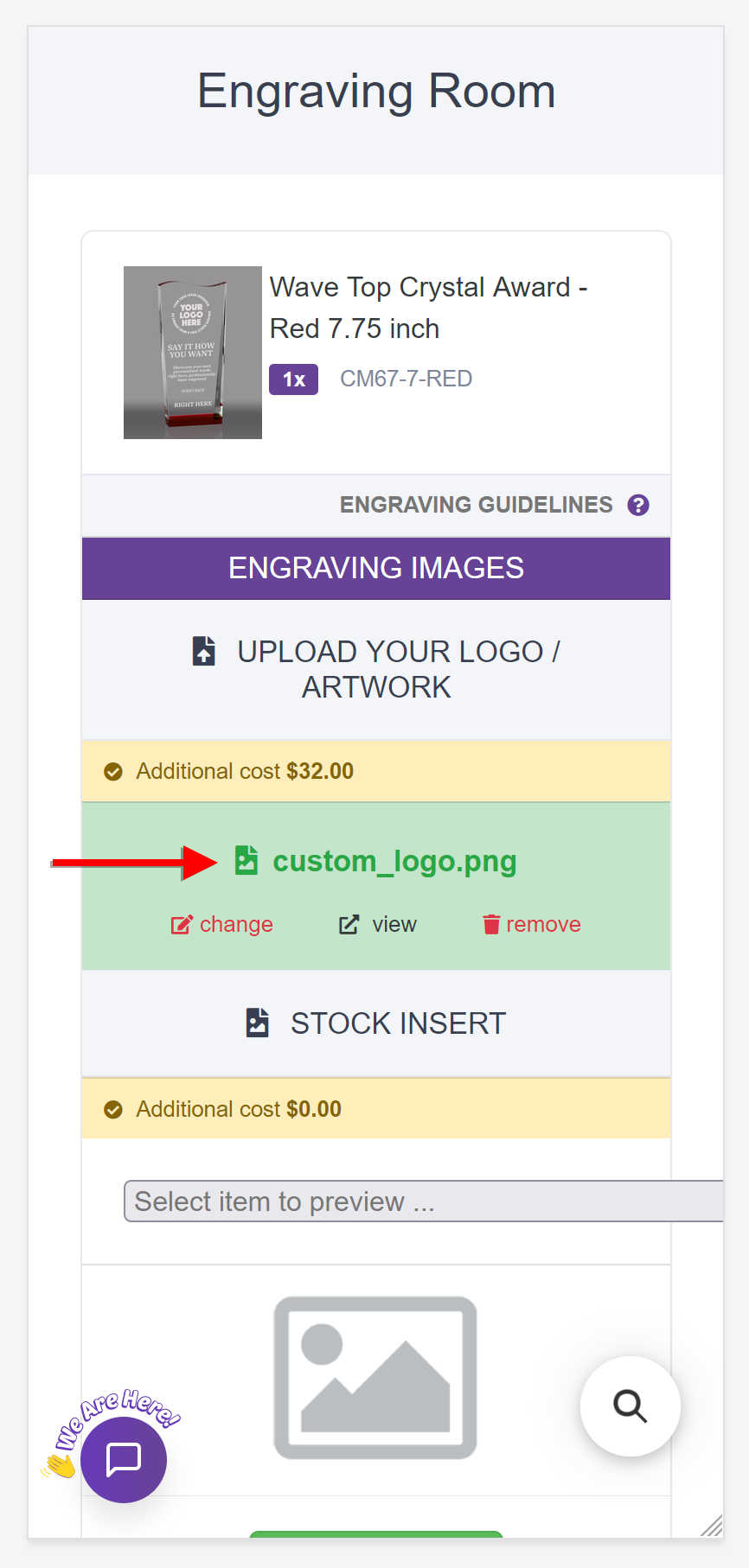 Uploaded logo filename with change view remove